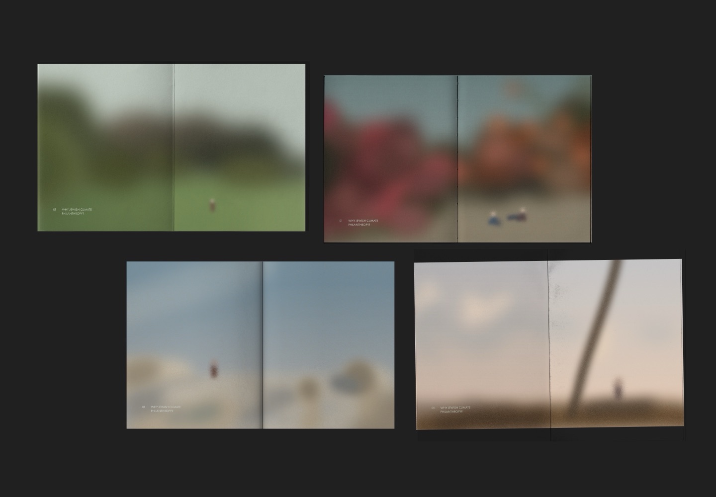Four chapter-opening spreads with blurred photographs