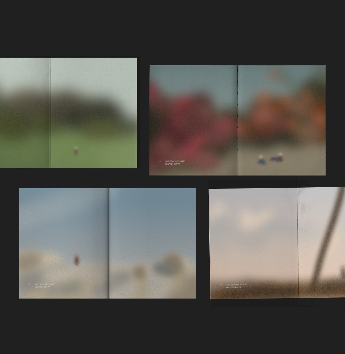 Four chapter-opening spreads with blurred photographs